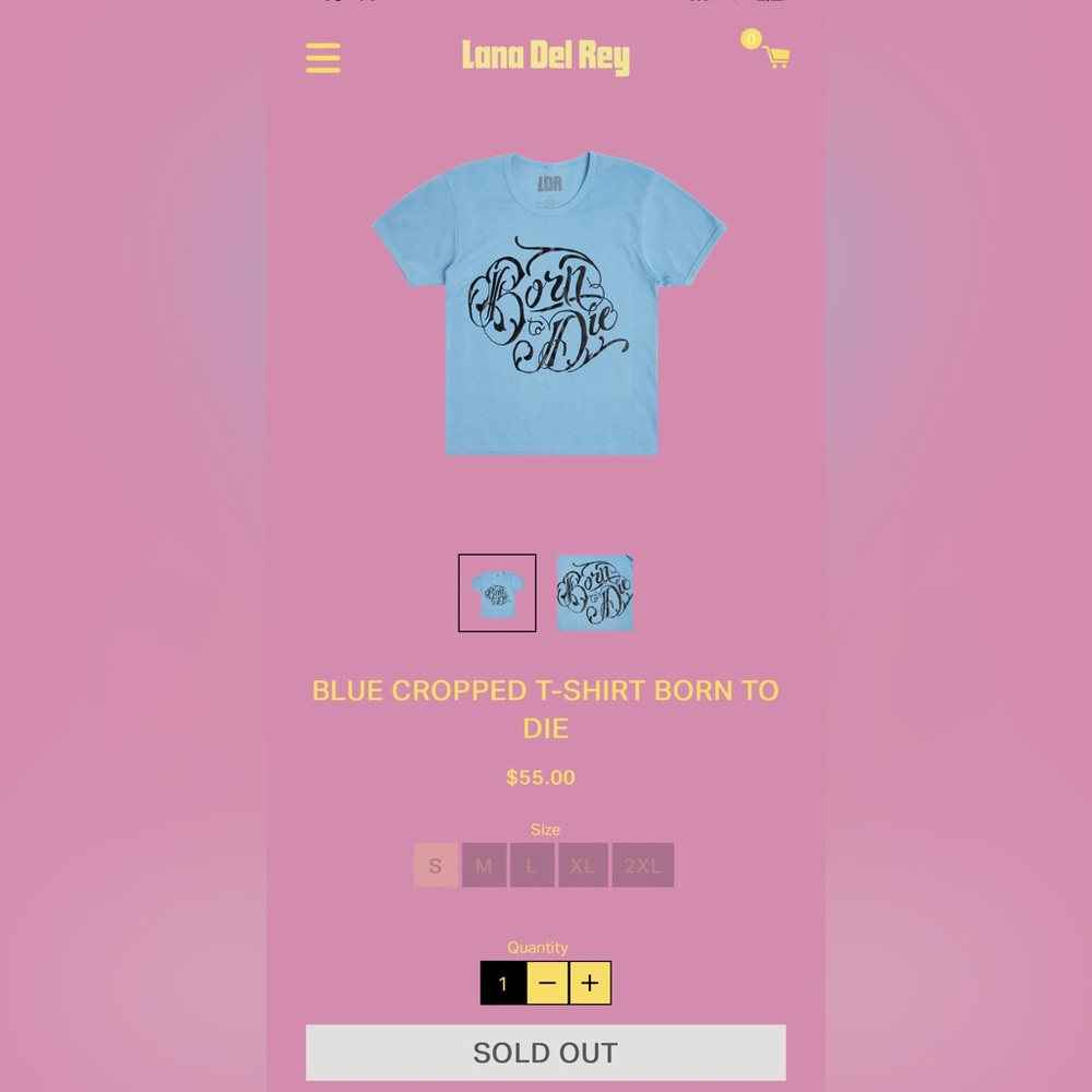 SOLD OUT LANA DEL REY CROPPED T-SHIRT 🎀